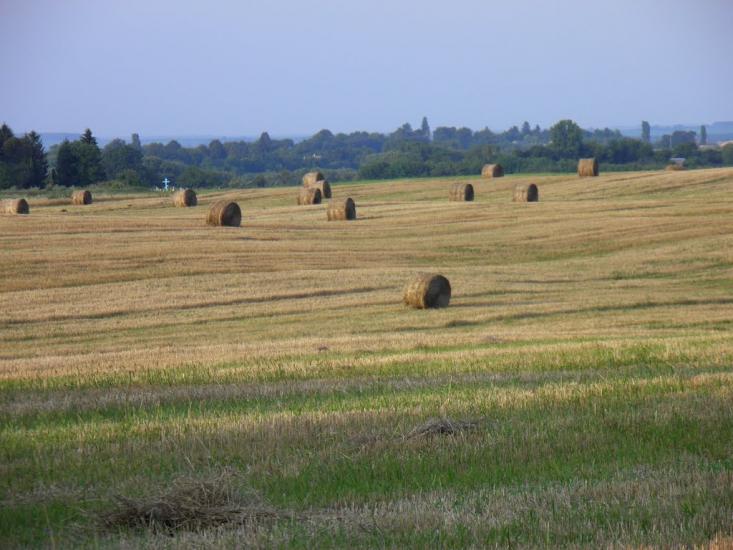Лаврів з panoramio.com - Лавров
