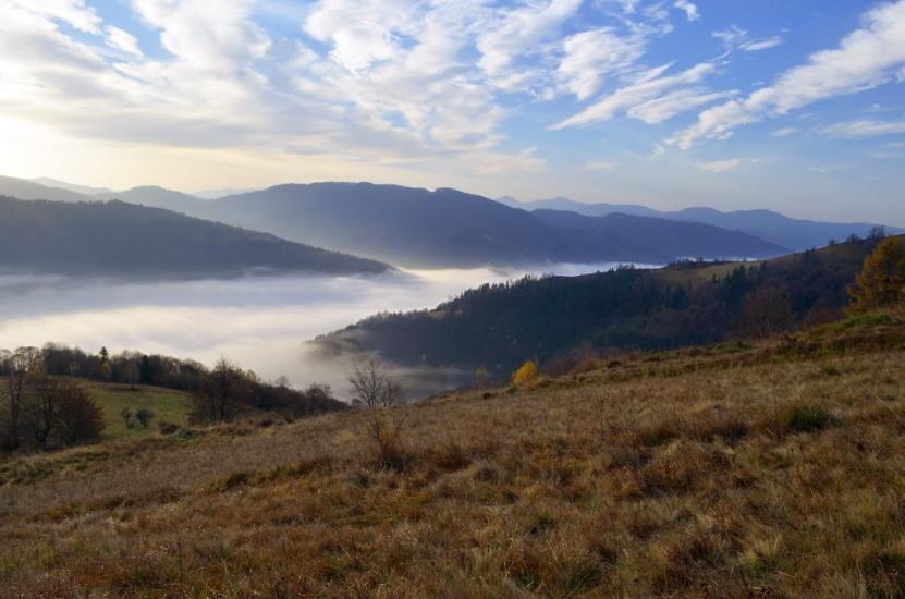 Кваси з panoramio.com - Квасы