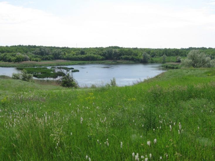 Ненаситець з panoramio.com - Ненасытец