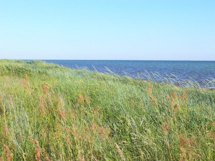 Геройське з panoramio.com - Geroyske