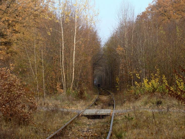 Клевань з panoramio.com - Klevan