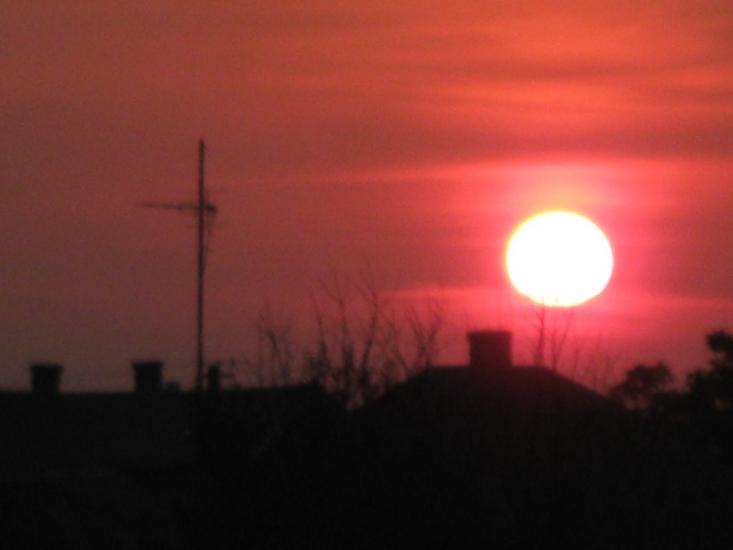 Тарасівці з panoramio.com - Тарасівці