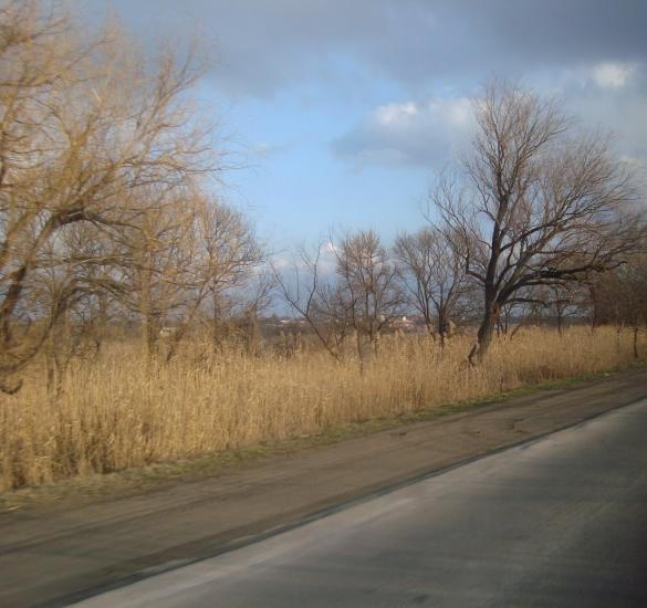 Маяки з panoramio.com - Маяки