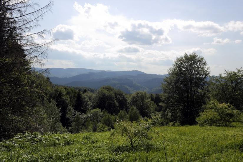 Заріччя з panoramio.com - Заріччя