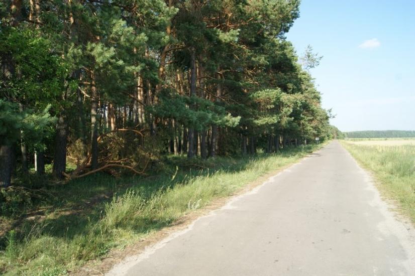 Велика Любаша з panoramio.com - Велика Любаша