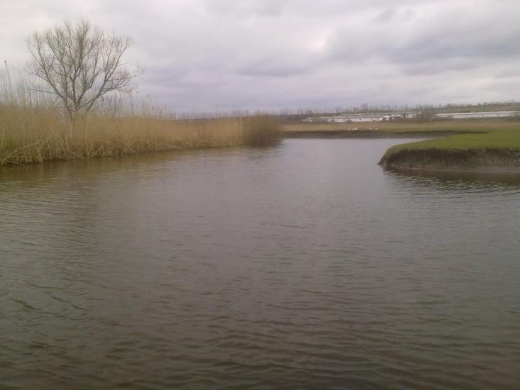 Волохів Яр з panoramio.com - Волохів Яр