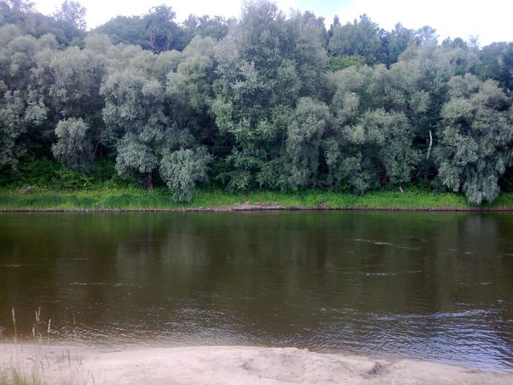Розльоти з panoramio.com - Розльоти