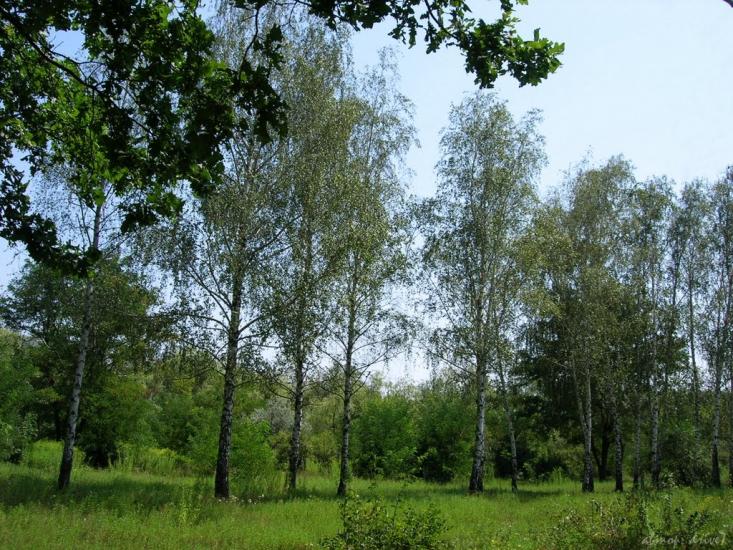 Червоні Поди з panoramio.com - Червоные Поды