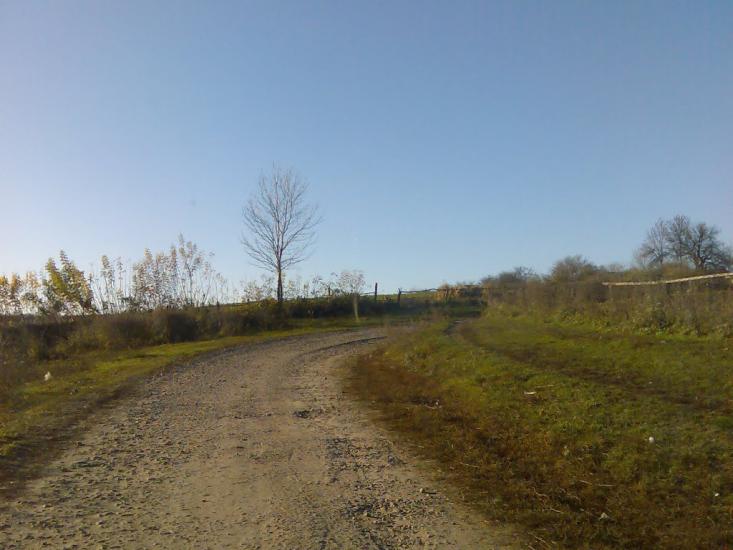 Пашківці з panoramio.com - Пашковцы