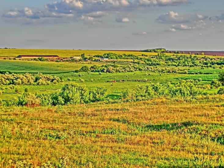 Андріївка з panoramio.com - Андріївка