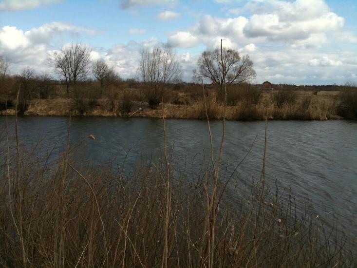 Проців з panoramio.com - Protsiv