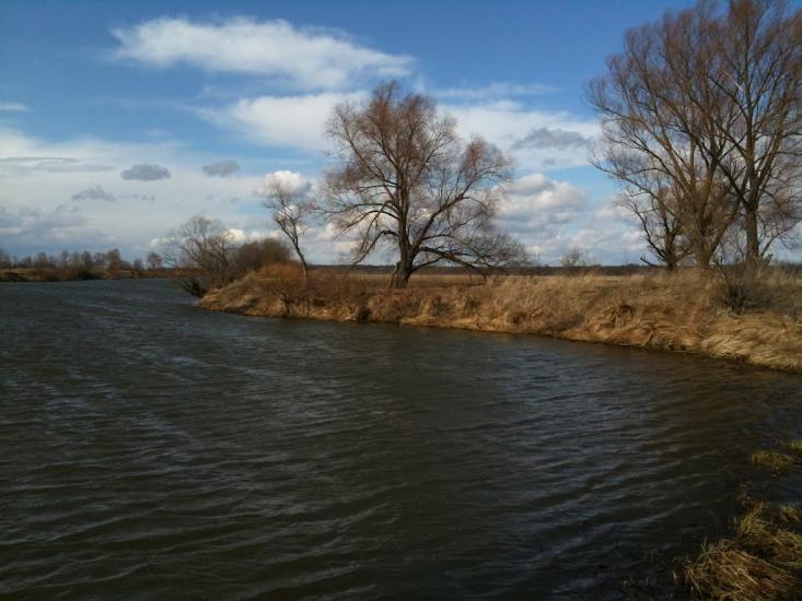 Проців з panoramio.com - Protsiv