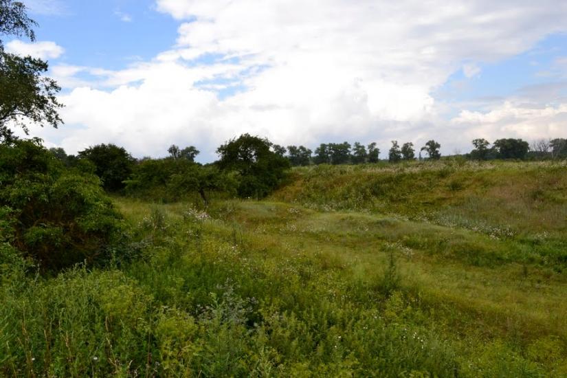Литвиновичі з panoramio.com - Литвиновичи