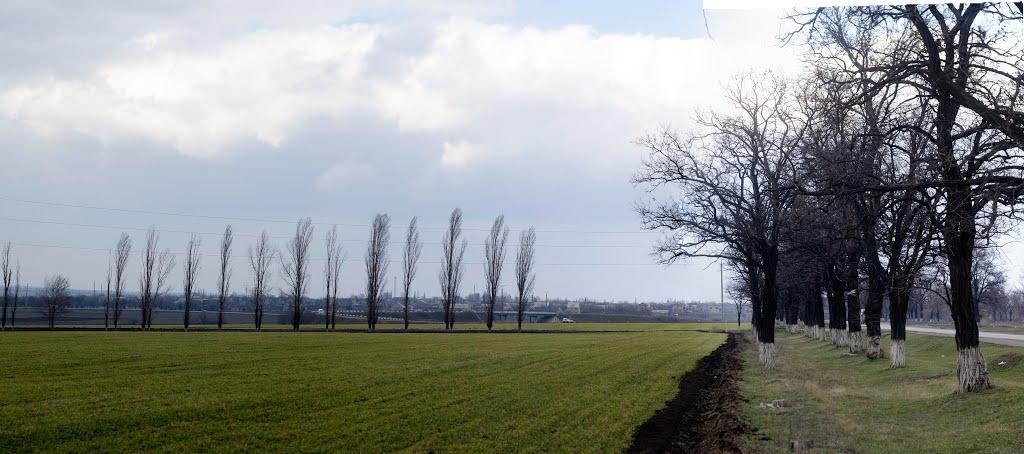 Чкаловка з panoramio.com - Чкаловка