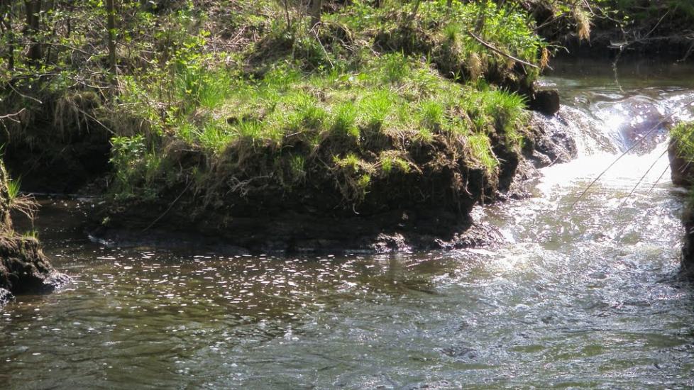 Машеве з panoramio.com - Машево