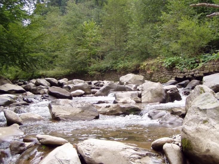 Вишка з panoramio.com - Vyshka