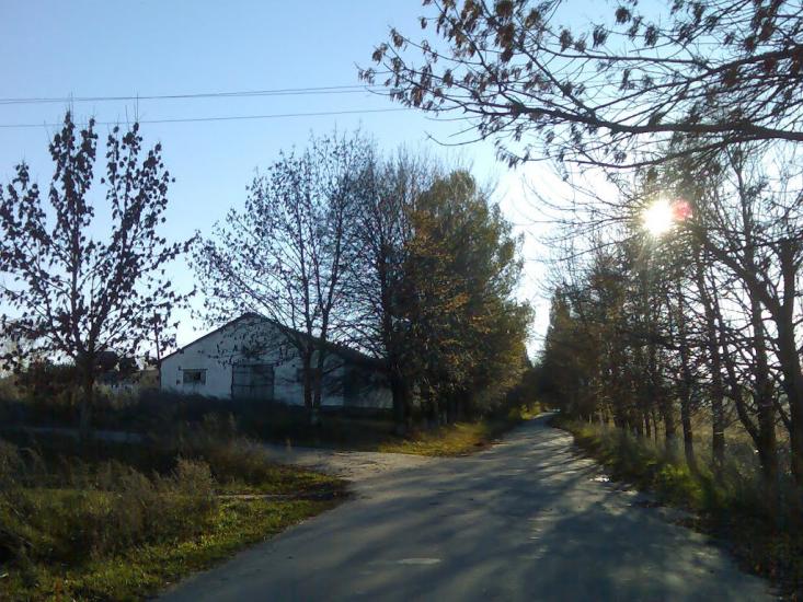 Пашківці з panoramio.com - Pashkivtsi
