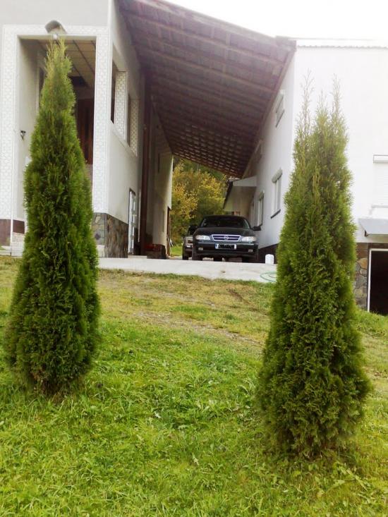 Водиця з panoramio.com - Водица