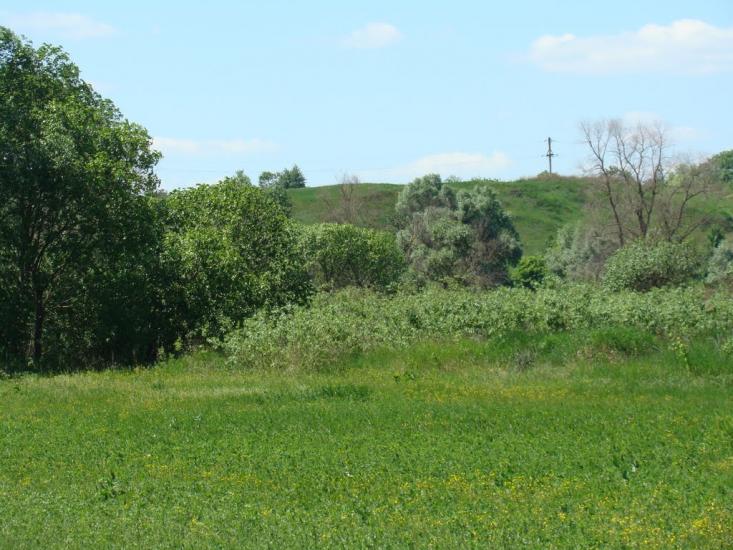 Тарасівка з panoramio.com - Тарасівка