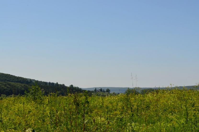 Поморяни з panoramio.com - Поморяны