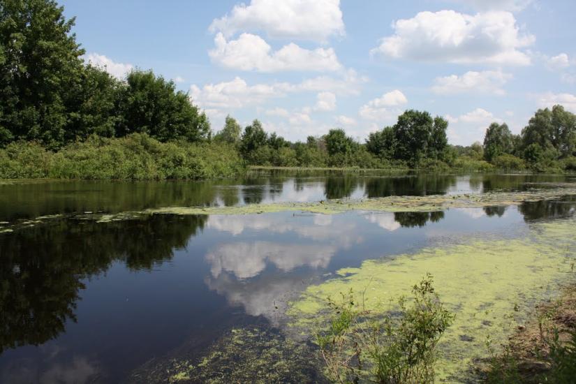 Тарасівка з panoramio.com - Тарасівка