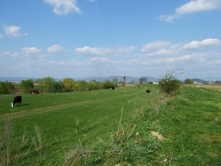 Ракошино з panoramio.com - Ракошино