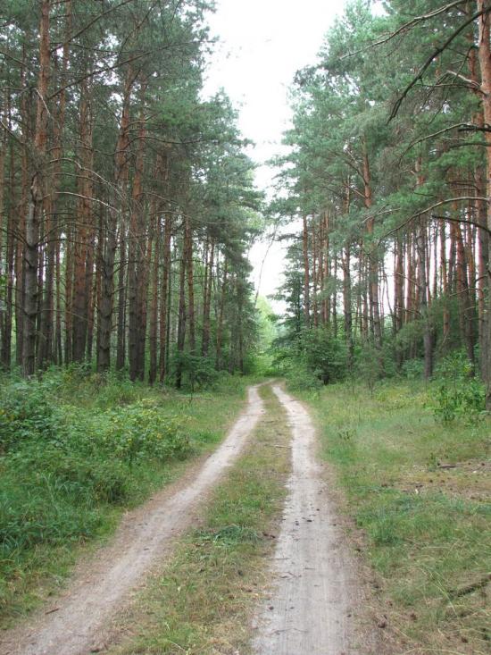 Стригани з panoramio.com - Стриганы