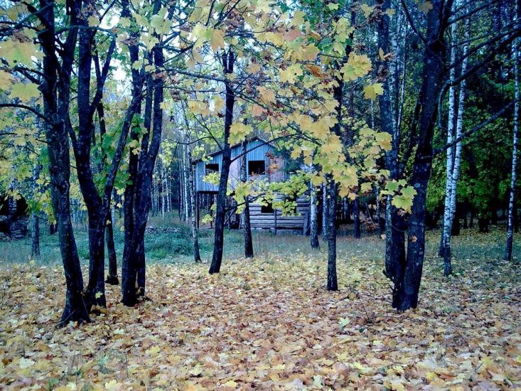 Погорілівка з panoramio.com - Погорілівка
