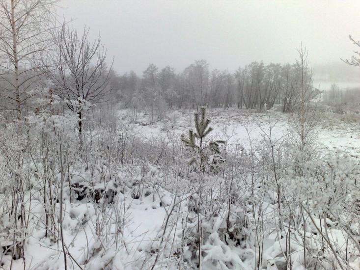 Лаврів з panoramio.com - Лавров