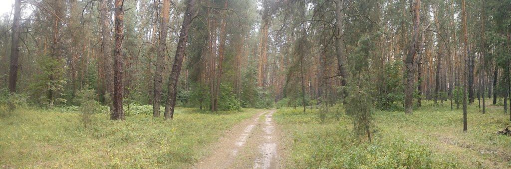 Ярова з panoramio.com - Яровая