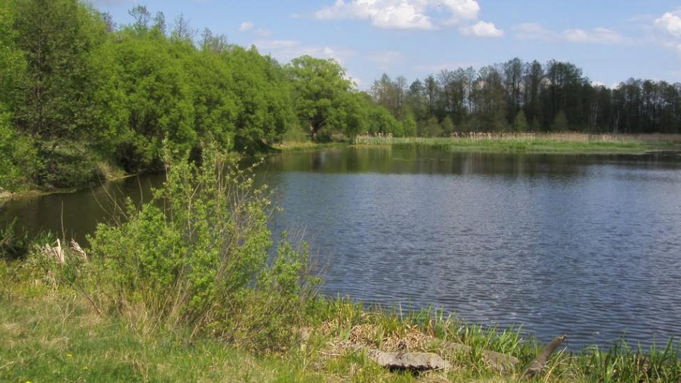 Машеве з panoramio.com - Машево