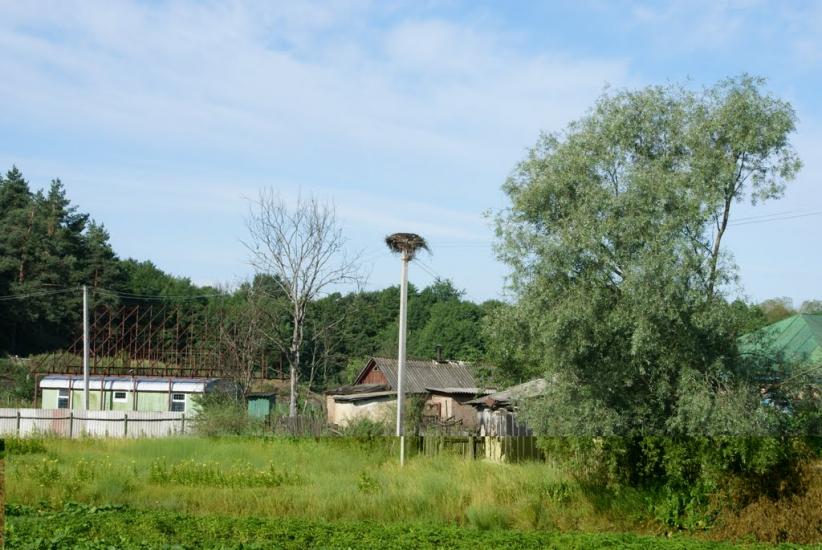 Верхоли з panoramio.com - Верхолы