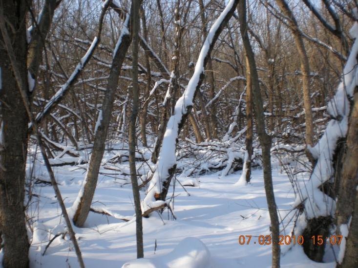 Слобідка з panoramio.com - Слободка