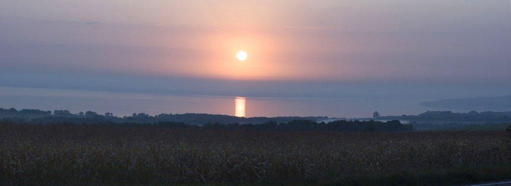 Бородаївські Хутори з panoramio.com - Бородаевские-Хутора