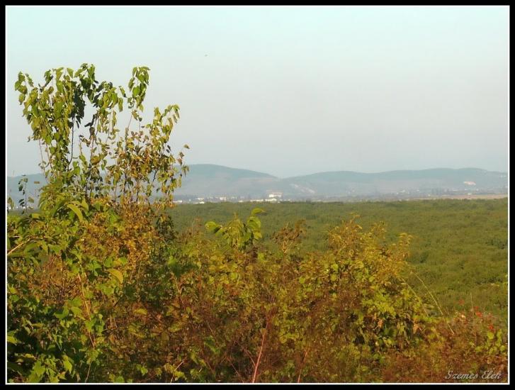 Астей з panoramio.com - Астей