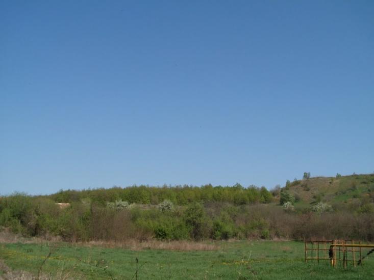Четвертинівка з panoramio.com - Четвертинівка