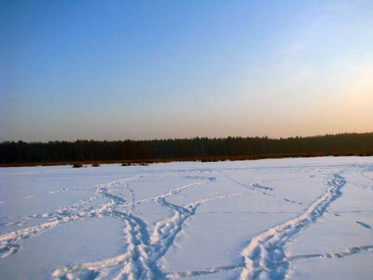 Волиця з panoramio.com - Волица