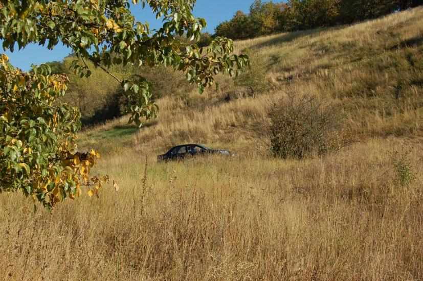 Соломія з panoramio.com - Соломия