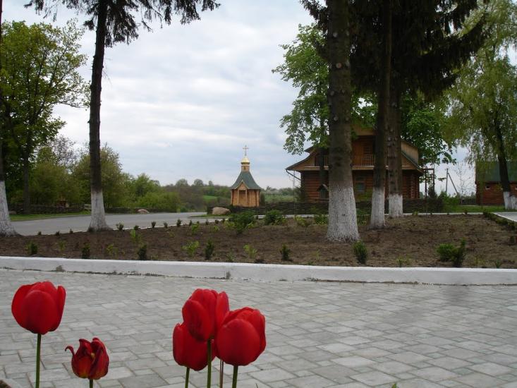Моринці з panoramio.com - Moryntsi