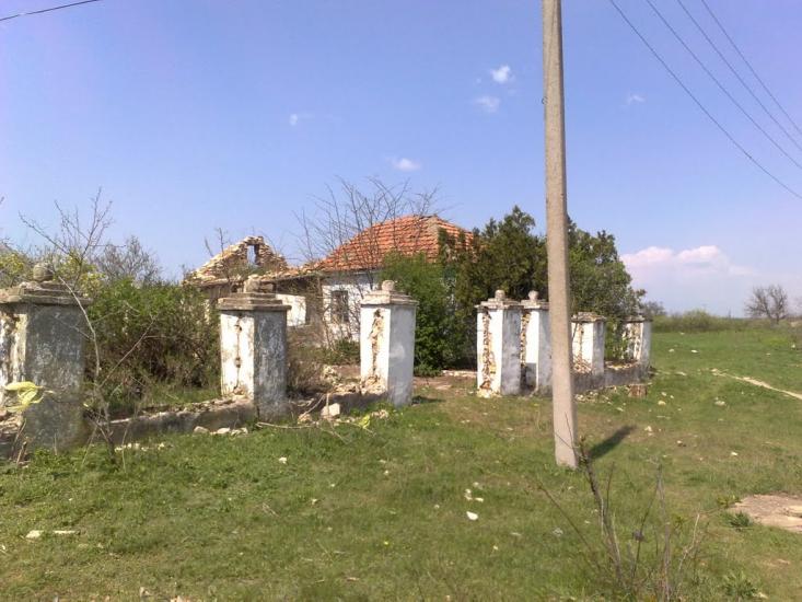 Новогригорівка з panoramio.com - Новогригорівка