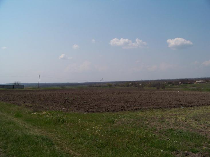 Настасівка з panoramio.com - Настасівка