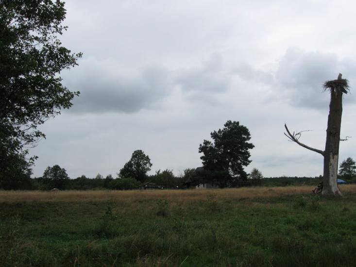 Мельники з panoramio.com - Мельники