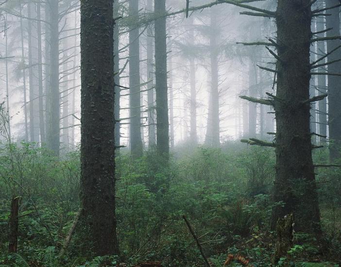 Добротвір з panoramio.com - Добротвір