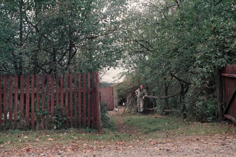 Шведчина з panoramio.com - Шведчина