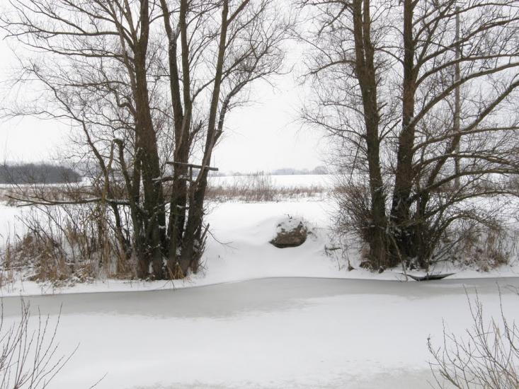 Заріг з panoramio.com - Зарог