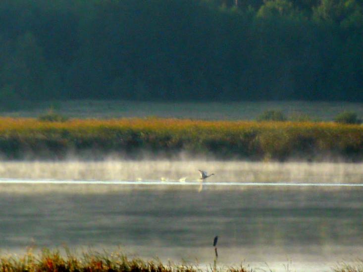 Нехворощ з panoramio.com - Нехворощ