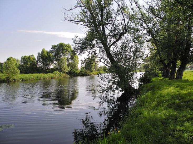 Литвиновичі з panoramio.com - Lytvynovychi