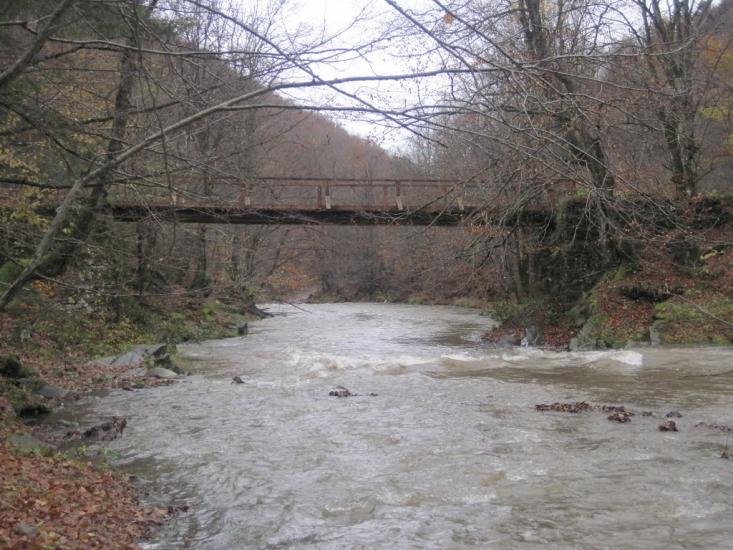 Чорноголова з panoramio.com - Черноголова