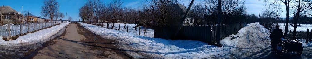 Подвір'ївка з panoramio.com - Подвір'ївка