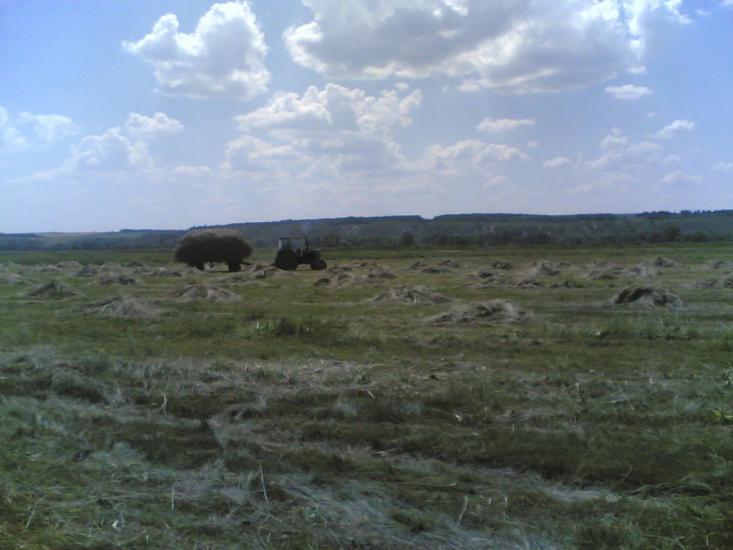 Новоайдар з panoramio.com - Новоайдар